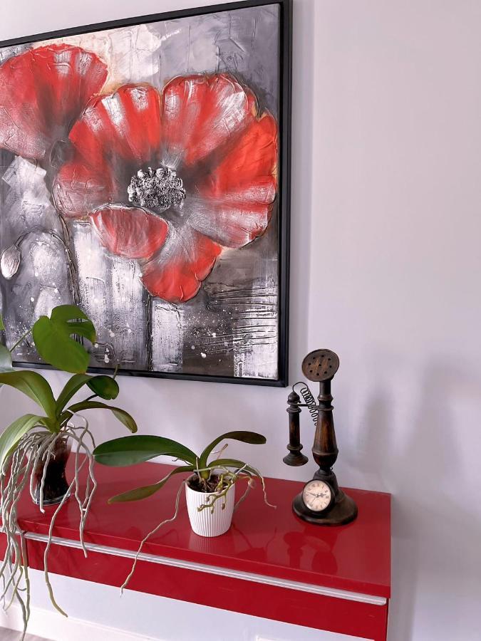 Elegant Garden Suite&2Mins Bus Station Close Lrt& Free Parking 卡加利 外观 照片