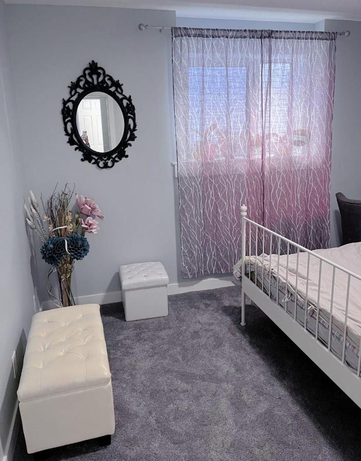 Elegant Garden Suite&2Mins Bus Station Close Lrt& Free Parking 卡加利 外观 照片